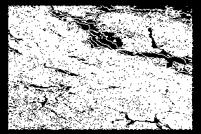 6_3.gif