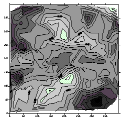 10_2.gif (9368 b)