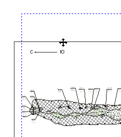 102_2.gif