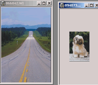23_1.gif (32447 b)