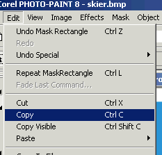 24_3.gif (4072 b)
