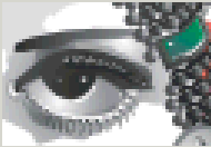 5_2.gif (9112 b)