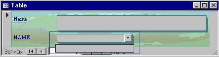 37_2.gif (4259 b)