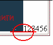 29_1.gif (866 b)